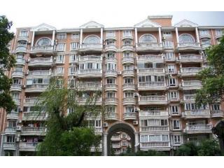 阳光绿园的照片