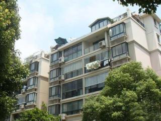 金沙嘉年华的照片