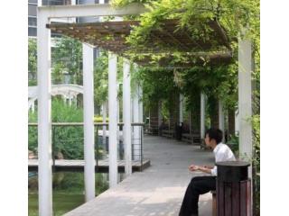 星河世纪城的照片