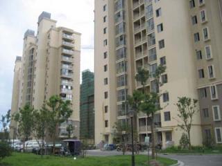 新杨和苑的照片