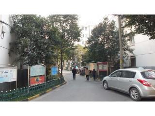 白浪新村的照片