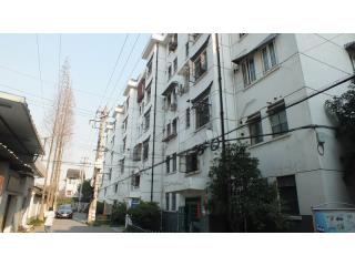 白浪新村的照片