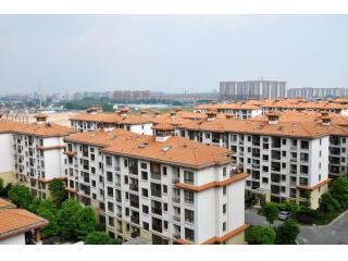 夏朵小城的照片