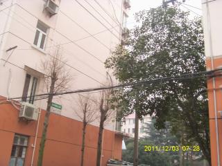 鹤明小区的照片